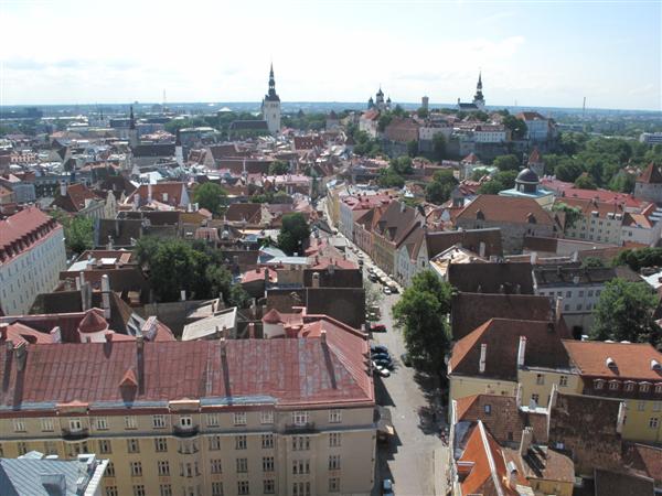 Таллинн, старый город, церковь Олевисте, вид вниз. Таллинн, старый город, церковь Олевисте, вид вниз.