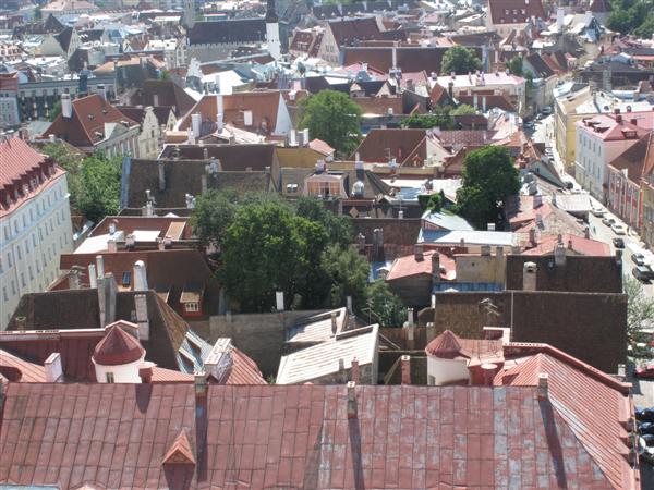 Таллинн, крыши домов старого города Таллинн, крыши домов старого города